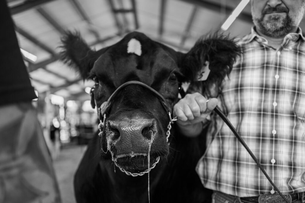 2025-08-20-21 Fairs (3 of 45)